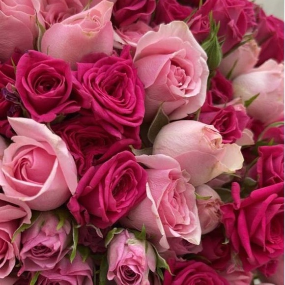 Meet your Posher, Larisa - Picture 1 of 1